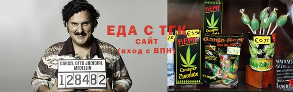 стаф Аркадак