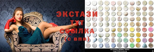 стаф Аркадак