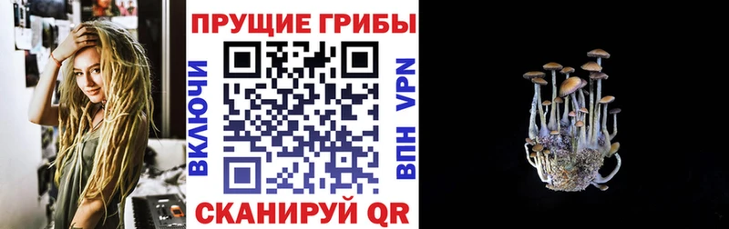 Галлюциногенные грибы MAGIC MUSHROOMS  Сенгилей 